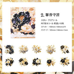 o NAV[ Ԃт ԕ ؂₩ 傫 [WTCY R[Wf [Y KN  O V[ ̊ 10 PETV[ ϐV[ V[ COXebJ[     R