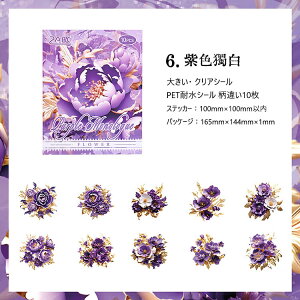 o NAV[ Ԃт ԕ ؂₩ 傫 [WTCY R[Wf [Y KN  O V[ ̊ 10 PETV[ ϐV[ V[ COXebJ[     R