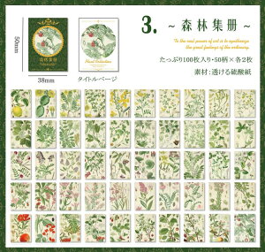 o 100  Be[W y[p[ fގ ubN _ g[VOy[p[ gy f CO R[Wf fUCy[p[ g AeB[N 蒠 fR f pb