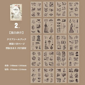 o V[ubN ^ e R[Wf  [Y KN lV[ O  z ԕ  ٖD lKtB [X A PET  ϐ V[ AeB[N g