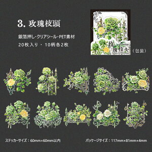 o  ┓ NAV[ R[Wf [Y KN ԕ 20 K[fjO tFX  Ɩ Ɩ y_g VfA e[uv CXg XebJ[ PETV