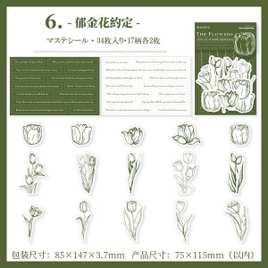 o }XeV[ Ԃт ԕ p V[V[g R[Wf [Y KN 82s[X 30ԕV[{ ^ 4V[g(52pV[) }XLOe[vf  