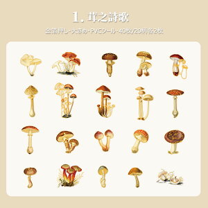 o  傫 PETV[ 40 NAV[ R[Wf [Y KN Ԃт ԕ  hCt[ ԕ t LmR p p XebJ[ R[W f  _