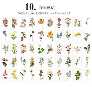 o COV[ CX^ }XeV[ubN50 S10큟a  蒠fR fRV[ }XeV[ R[Wf g 蒠V[ g  A i l F f