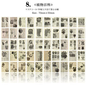 o Be[W XebJ[ V[ubN a p V50 S16큟p COXebJ[ 蒠fR }XeV[ R[Wf fR[V fR f | g A i