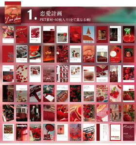 o V[ubN 60 F Ins V[ COV[ PET ϐ V[ R[Wf  COXebJ[ 蒠 fR R[W f g fR[V A i ʐ^ l