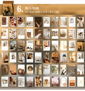 o V[ubN 60 F Ins V[ COV[ PET ϐ V[ R[Wf  COXebJ[ 蒠 fR R[W f g fR[V A i ʐ^ l