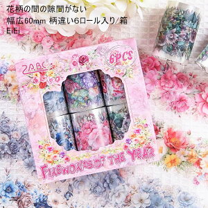 o Ⴂ6[ Zbg NAe[v L60mm V[X Ch^Cv ԂȂ KN [Y o CXg ϐ e[v Ԃт ԕ Ԕ R[Wf  e