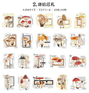 o }XeV[ 傫 ԕ p LmR XY t[[N g lKtB lK A R[Wf  [Y o g AeB[N gt t e CXg