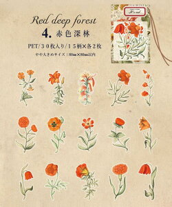 o g H XebJ[ 傫 V[ 30 NA PET  XebJ[ WNW[i 蒠 fR R[W f O fR[V ϐ g X}z DIY diy 