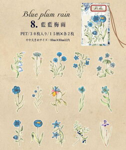 o g H XebJ[ 傫 V[ 30 NA PET  XebJ[ WNW[i 蒠 fR R[W f O fR[V ϐ g X}z DIY diy 