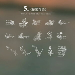 o NAV[  zCg [X XebJ[ t[NV[   r ԕ  p p g z R t[ t[ [X V[  30 PET ϐ CO R[W f | 