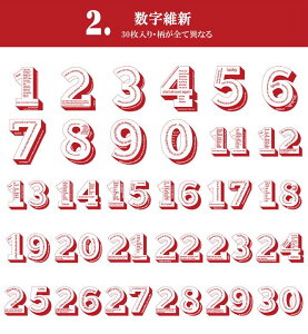 o COXebJ[ 傫 3D p  t[NV[ 30 S4ށCOV[ WNW[i R[Wf fRf 蒠fR fR[V Ao | g 