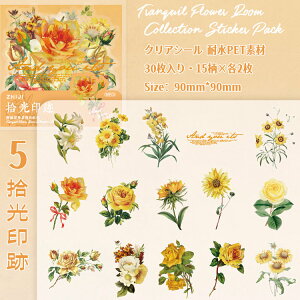 o NAV[ 30 傫 ԕ Ԃт PETV[ ϐ V[ V[ R[Wf [Y o KN z O AWTC {^ 鑐 bh   CXgXeb