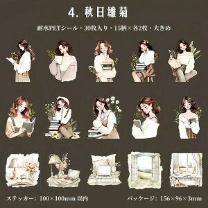 o lV[ NAV[ 傫  ̎q K[fjO 30 R[Wf  l V[ PET ϐ V[ CXgXebJ[ R[W f  V[ XebJ[