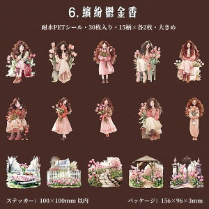 o lV[ NAV[ 傫  ̎q K[fjO 30 R[Wf  l V[ PET ϐ V[ CXgXebJ[ R[W f  V[ XebJ[
