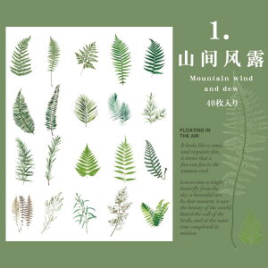 o NAV[ 傫 40 ϐ  V[ ԕ KN A t ʎ t[c   mg[ t[NV[ CXgV[ R[Wf  PET V[ W