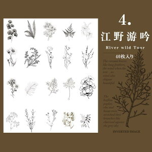 即日出荷 クリアシール 大きめ 40枚 耐水 透明 シール 花柄 薔薇 植物柄 葉っぱ 果実 フルーツ 茸 白黒 モノトーン フレークシール イラストシール コラージュ素材 おしゃれ PET シール ジャン