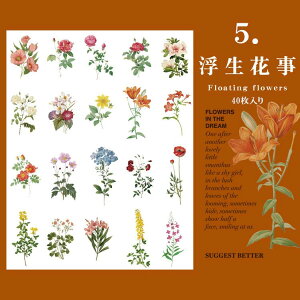 o NAV[ 傫 40 ϐ  V[ ԕ KN A t ʎ t[c   mg[ t[NV[ CXgV[ R[Wf  PET V[ W