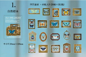 o NAV[ XebJ[ CO R[W f PETf XNbvubLO H   LmR ԕ [Y t g z COXebJ[ 40 V[ ϐ V[ o^