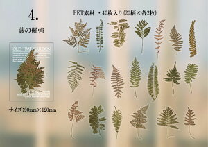 o NAV[ XebJ[ CO R[W f PETf XNbvubLO H   LmR ԕ [Y t g z COXebJ[ 40 V[ ϐ V[ o^