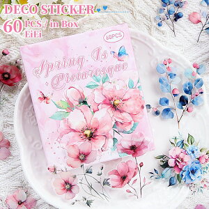 o 60 ʃ^b` NAV[ }bgȎ e R[Wf  [Y KN Ԃт ԕ ԑ  e  o^tC  CXgV[ V[ PETV[