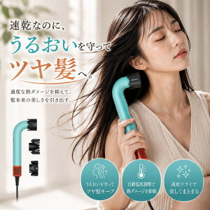 �|�C���g10�{�IDyson Supersonic r? �w�A�h���C���[ �Z���~�b�N�p�e�B�[�i�^�g�p�[�Y