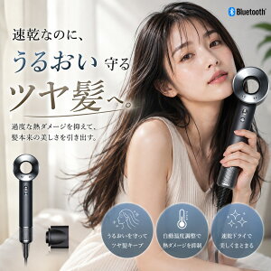 �|�C���g10�{�IDyson Supersonic origin �w�A�h���C���[ �u���b�N�^�j�b�P��