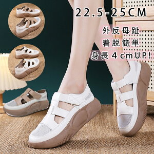 Xj[J[ Xb| fB[X U[ O pvX T_ fB[X  T{T_ D^ Xj[J[ T_  r[`T_ EȒP s C l  EF