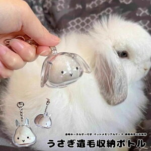 yZ[z [  {g L[z_[  P[X ^ Ђ ۑ [{g  ANZ Xgbv `F[ 蕨 LOi ivۑ 鉻 fUC y 