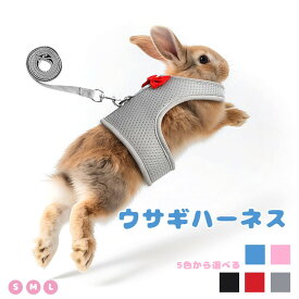 ウサギハーネス リードセット 通気性 軽量設計 簡単装着 サイズ調整 小型動物用 ペット散歩 室内外兼用 胸の背中 オランダ豚 小ペット 牽引紐 胸紐 チョッキ式 スカイブルー ピンク 黒 グレー 赤 カラー 安全設計 快適 お出かけ 調整可能 丈夫 ペット用品 ウサギ用品
