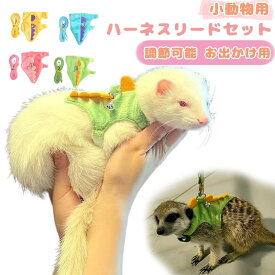 リードセット ベストタイプ ソフト素材 恐竜 調節可能 散歩 フェレット用 チンチラ用 リス用 ウサギ用 子猫用 プレーリードッグ用 テン用 スモールペット 外出 安全設計 軽量 快適着用 布 簡単装着 調整機能 脱走対策 首保護 負担軽減 ペット 小動物用