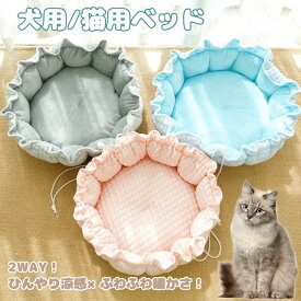 猫 ベッド 犬 クッション ひんやり 夏 冬 両用 涼感 マット 通気性 洗える 接触冷感 あごのせ ふかふか 暖か 四季 小型犬 猫用 犬用 ペット 可愛い カラー 丸型 抽選 南瓜 ペットベッド ペットマット 涼しい 暑さ 冷たい 快適 ペット用品