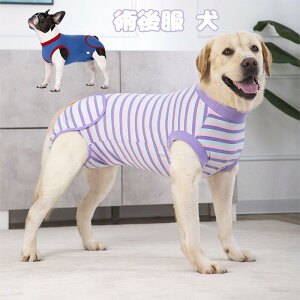 ybg Jo[ EFA  p ی  PA p K ʋC Lk GUxX  畆a D   r Jo[ Wbv }WbNe[v   XgX y p  ybg