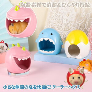 nX^[ LN}  CR X ybg  nEX xbh   Q B  NbV  u[ X^[ Aj} Ђ ₽ ܂   ΍  