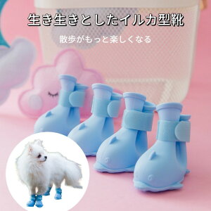 pu[c h Cu[c VR LN^[ fUC 4Zbg ^ p |jA gCv[h rVt[[ Jo[ J̓ U ObY u[ sN CG[ 