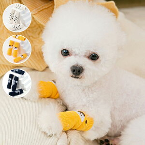 p\bNX LN^[ ֐ߕی ʔNg ^ ^ Lɂ ybgpC Lk ʋC Sn悢 􂦂Đ ~߉H S݌v  킢 CG[N} zCg