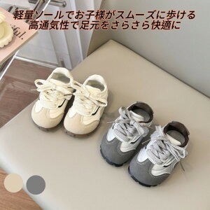 xr[V[Y  ~ X|[cC jp ԂC sK p cC y _炩 S݌v q^C t@[XgV[Y xr[pi oC TCYLx ʋC