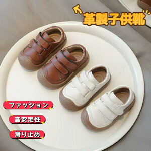 xr[C ߂Ă̌C sK \tg\[ ܐی tHV[Y cC JWAC ̎qC j̎qC h݌v pvX [t@[ ʋC zU Ȃ  t@[XgV