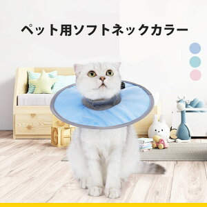 L GUxXJ[ z ybg pi Lp p PA _炩 ʋC K XgXt[ ی  ObY  p    At^[PA L p GUxX O z J[ 