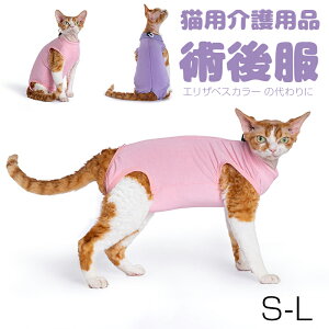 Lppi Lp 앞 p㕞 ی앞 p p㒅 pEFA L GUxXJ[ ̑ bt  D p jp R Lf L  ߏO[~O  p yb