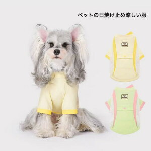 ybg   L   p UVJbg O ΍ U M \h ^ ^  bV ʋC y V C v[  􂦂 EFA ObY o  xXg N[ UV 