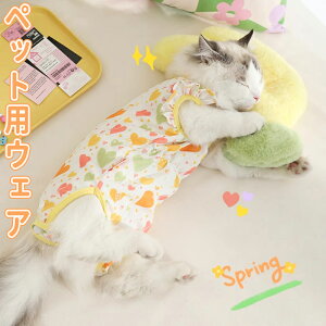 L  qL  ی ?@ PA  rߖh~ GUxXJ[   L  LeB xr[L n[g fUC ʋC  y EFA  ObY ?@ ی앞 PAEFA 