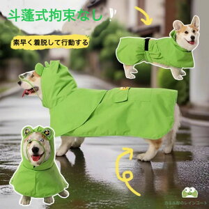  CR[g J h h  JKbp  |` t[ht Sʕی Č R[M[ ^ U J̓ AEghA ʋC H JG fUC      