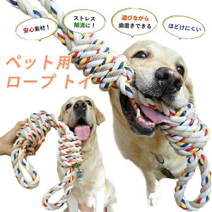 ߋ   [v [v^Cv ފߋ [vgC ybgp ނ pߋ ybg gC ߋ V XgX ^s v ϋv    킢 