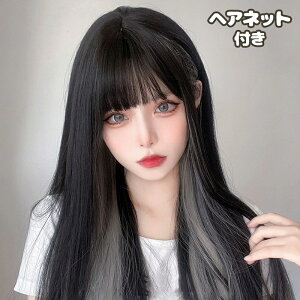 EBbO O Ci[J[ oɂ R 傫Ȃ ₷ ~fBA їʂނR TT C`F nn Xg[g ͂O R  