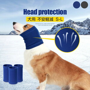 p  ނ ̏o邨  ̂ ݂ o錢 pf^ f^  ̏oߋ ̂łߋ 