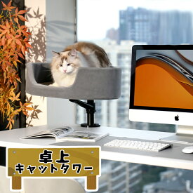 キャットタワー 卓上 猫 省スペース 小型 コンパクト 猫タワー 据え置き 組み立て簡単 ねこ ネコ キャットタワー猫 多機能 インテリア 運動不足解消 安定 ペット用品 かわいい おしゃれ 安全安心 耐久 ストレス解消 北欧 子猫 猫用品 猫ちゃん