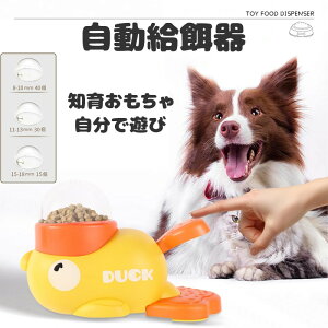 y2025ybg m炨 a 2in1z a F̃Aq a ybgm炨 a@ a a GT  ybg ŗV 낢 Ԓׂ  a@ a 