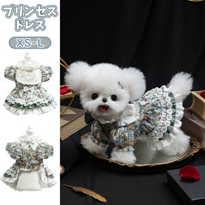   ^ e |jA }`[Y efB ViEU[ Hp ybgs[X v[h Lp tH[} p[eB[ Mtg LOBe vZXhX [^ t G